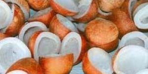 Coconut Copra