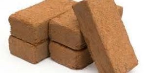 Coir Bricks