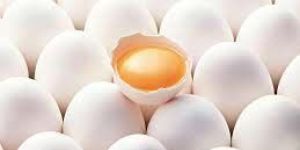 Poultry Eggs