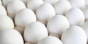Chicken Eggs