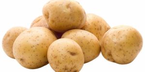 Fresh Potato