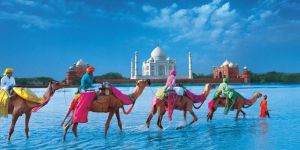 Tour Package & Tour Operator