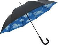 Rainy Umbrellas