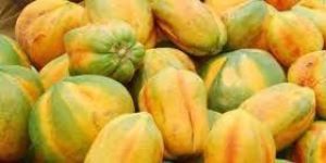 Fresh Papaya