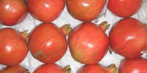 Fresh Pomegranate
