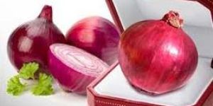Organic Red Onion