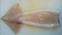 Peeled Squid