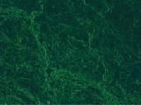 Royal Green Marble