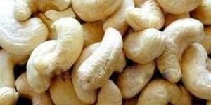 Cashew Nut