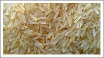 Golden Sella Rice