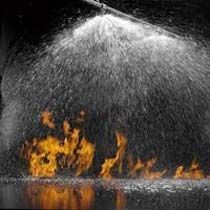 Fire Sprinkler System