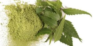 Neem Extract Powder