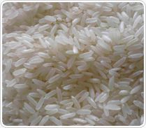 Printed Packaging Box