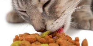 Spirulina Animal Food