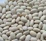 White Kidney Bean Extract