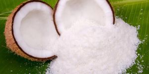 Desiccated Coconut Powder