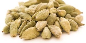 Cardamom