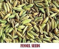 Fennel Seeds