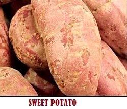 Fresh Sweet Potato