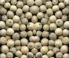White Pepper Seeds