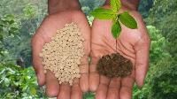 Organic Bio Fertilizer