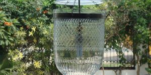 Glass Bell Jar Hanging