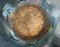 Ciprofloxacin Hydrochloride