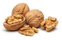 Shelled Walnut