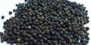 Black Pepper Powder