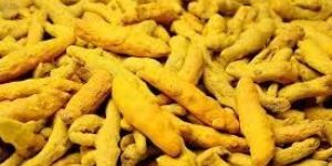 Turmeric Fingers