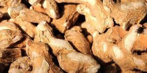 Dried Ginger