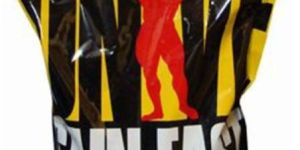 Universal Nutrition Gain Fast Muscle Gainer