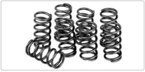Valve Springs