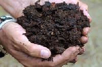 Bio Organic Manures