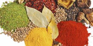 Indian Spices
