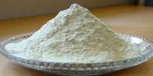 Dehydrated Potato Powder