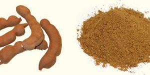 Dehydrated Tamarind Powder
