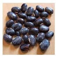 Mucuna Pruriens Seed or Kaunch Beej