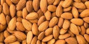 Almond Kernels