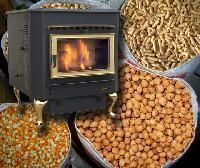 Biomass Fuel Stove