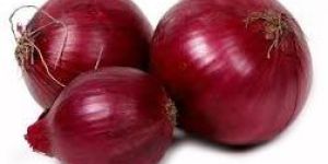 Fresh Red Onion