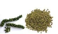 Dehydrated Green Pepper