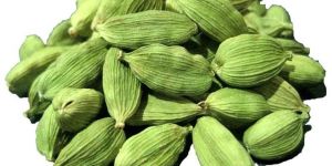 Green Cardamom