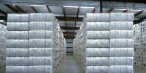 Raw Cotton Bales