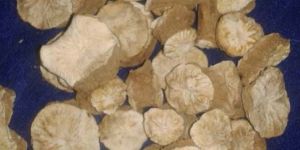 Dried Chicory Roots