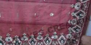 Badal Design Embroidery Saree