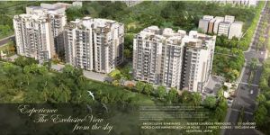 Real Estate Brochure Designing Services