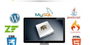 Dynamic Website Development