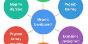 Magento Development Services
