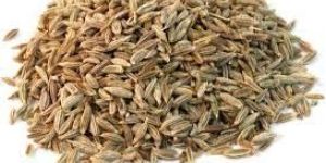 Cumin Seeds